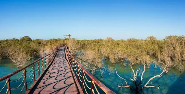 Jubail Mangrove Walking Park