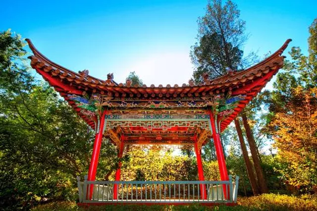 Wagga Wagga City Council