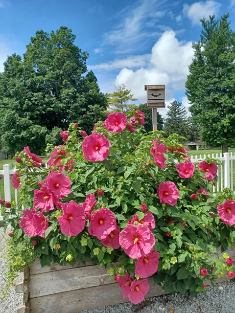 Snyder Park Gardens and Arboretum
