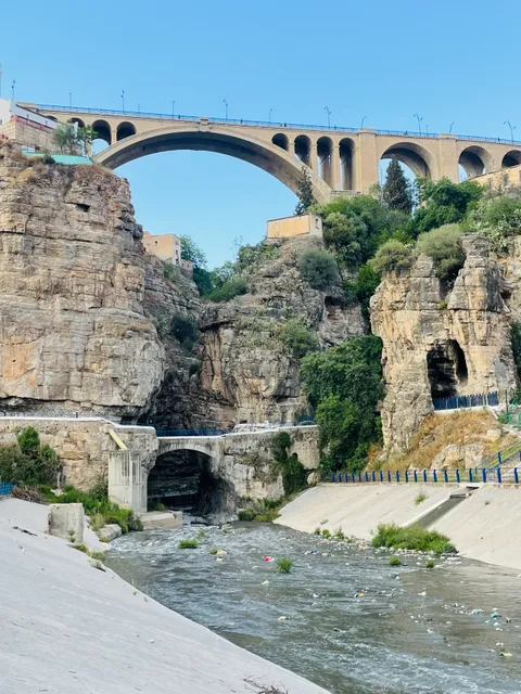 حديقة باردو