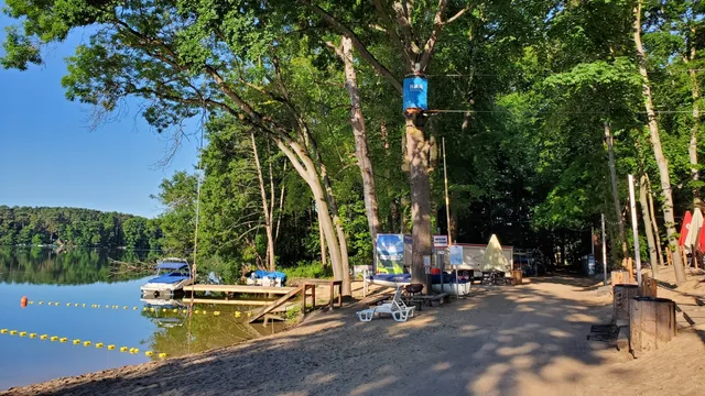 Park Linowy Magic Jungle