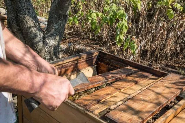 Little Big Econ Barr Street Trailhead