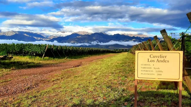 Bodega Cuvelier Los Andes