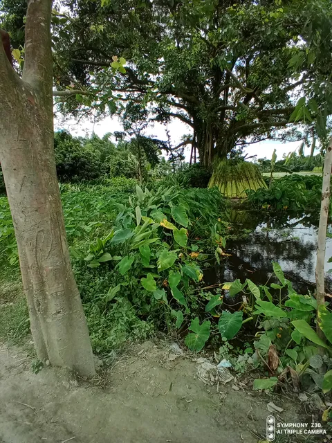 Suffolk County Department of Parks