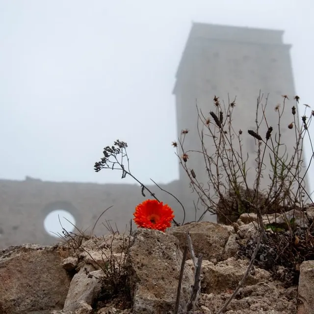 Giardino Botanico dei Colli Euganei