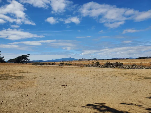 Point Isabel Regional Shoreline