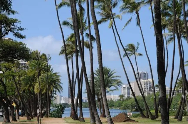Kūhiō Beach Hula Show