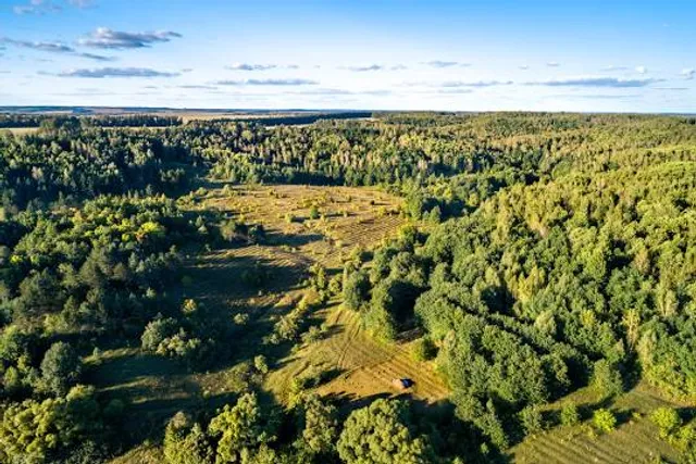 Новопоселеновский сельсовет