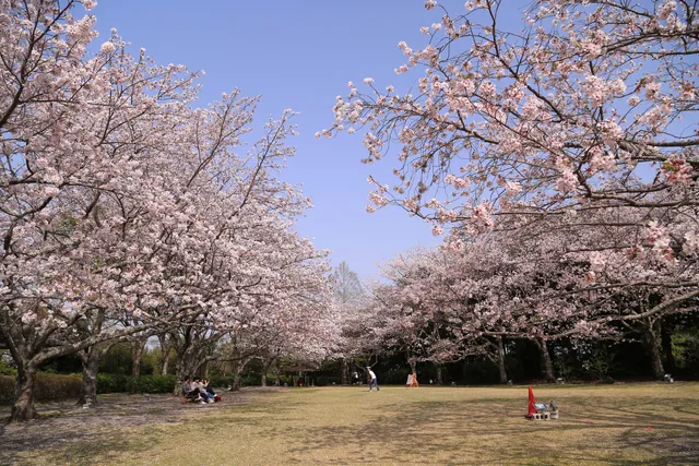 Nomanjiyama Park
