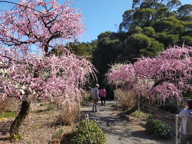 Tatsuo Shrine