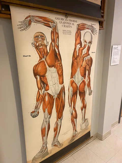 Lancaster Medical Heritage Museum