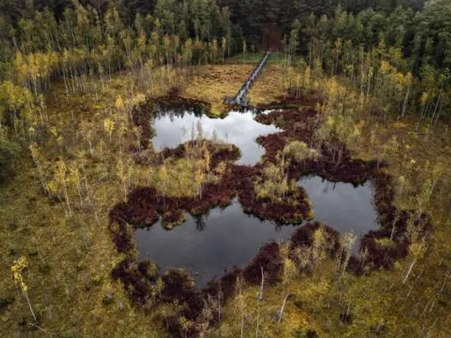 Buktos gamtinis pažintinis takas