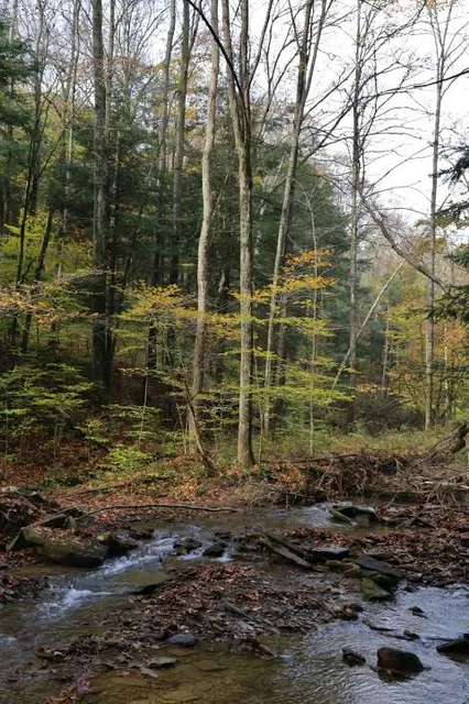 Oil Creek State Park