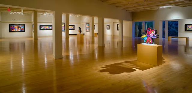 Coral Springs Museum of Art