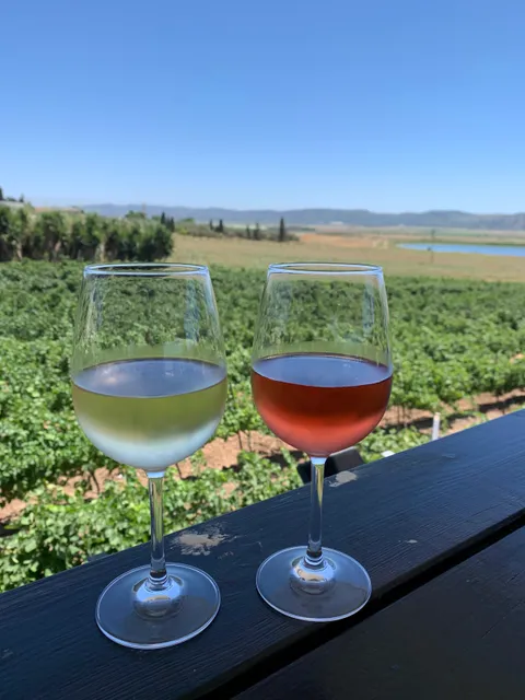 יקב שדות Sadot Winery