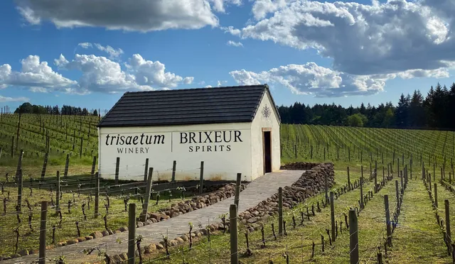 Trisaetum Winery