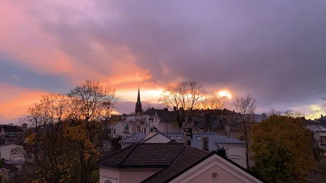 photo-3