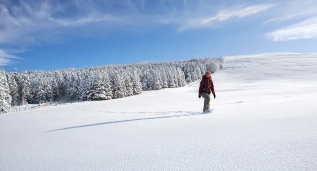 Pied Vert : Activités Nature et Randonnées