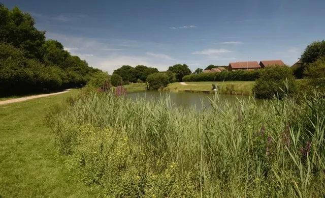 Hailsham Country Park