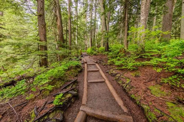 Franklin State Forest