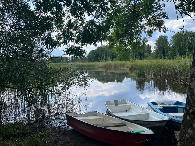 Łowisko szczupaka Dziewiszewo