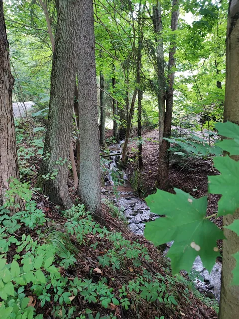 Fabiánova naučná stezka