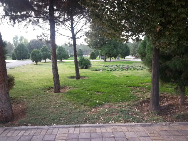 72 Tan Park‌‌‌‌‌