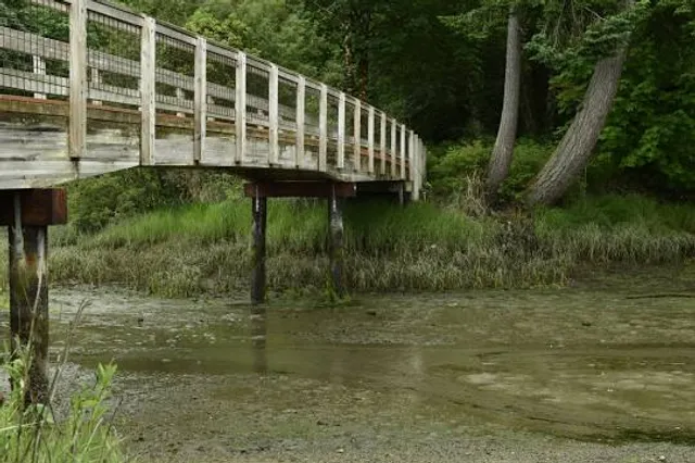 Lac de Viry-Châtillon