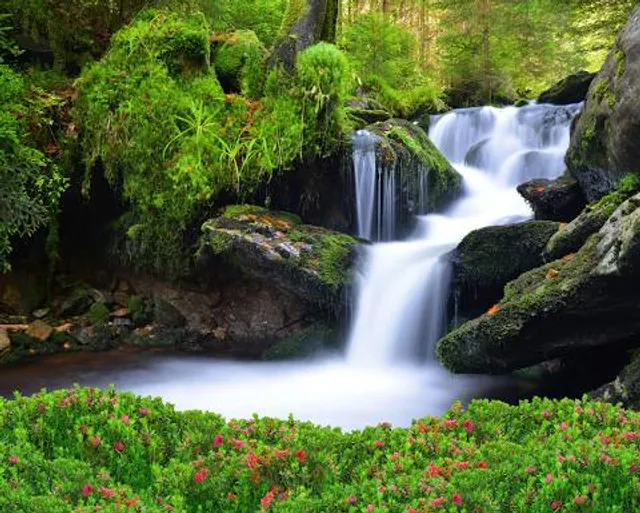 Plaza De La Marimba Park
