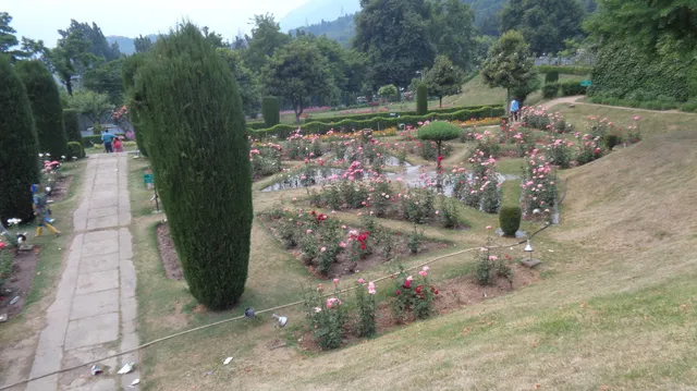 New World Guest House