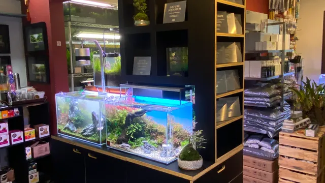 Aquabase- Aquapaisagismo Aquários