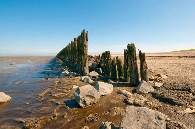 Réserve naturelle nationale des Coussouls de Crau