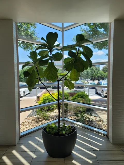 Austin Surgical Plaza