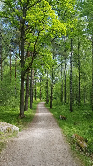 Sommarro cultural reserve