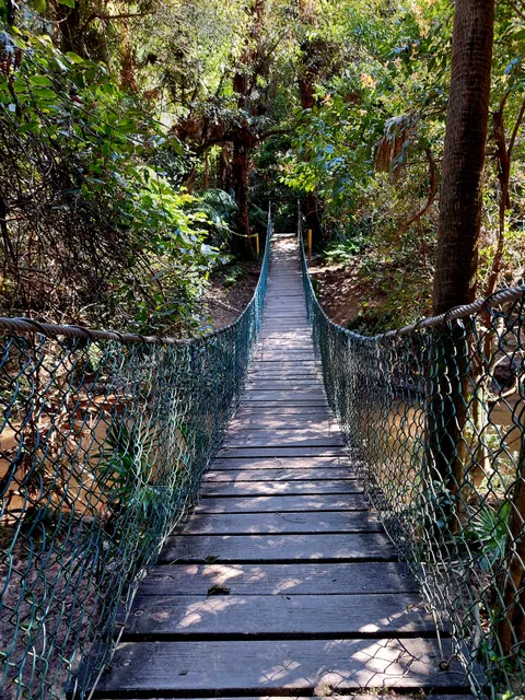 Strickland State Forest