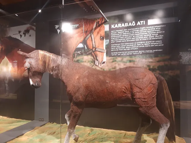 Savaş Atları Müzesi