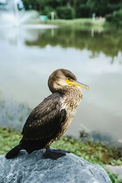 Parque Ecológico da Gruta Santa Luzia