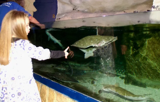 Musée Estran Cité de la Mer