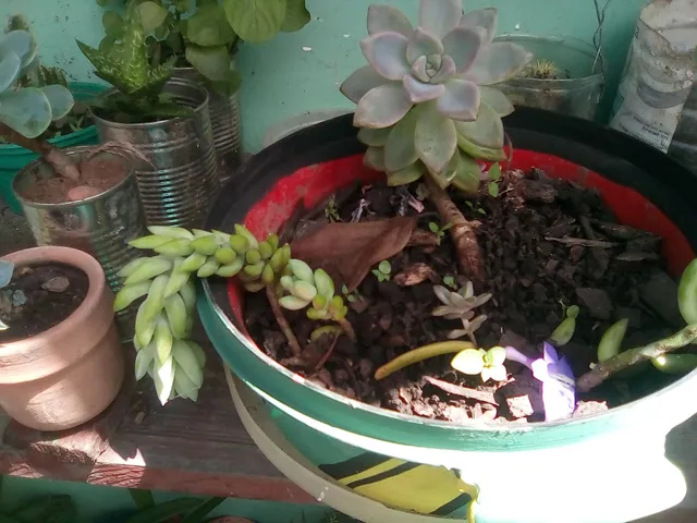 photo-2
