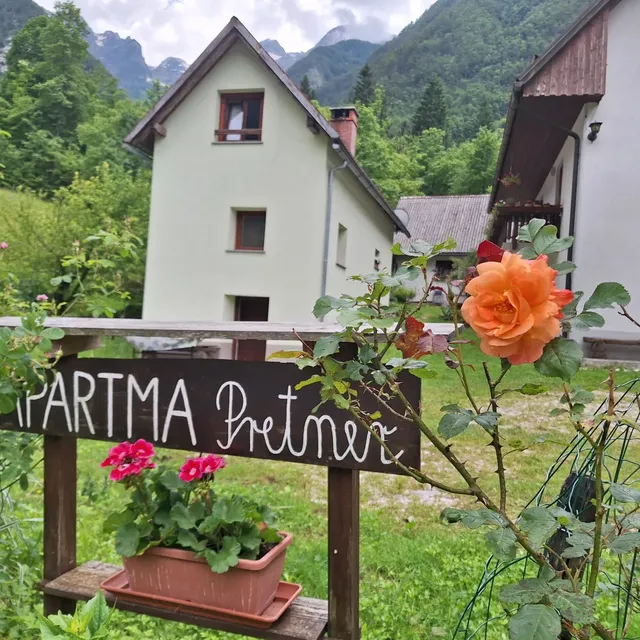 Pretner Salvi - Sobodajalec