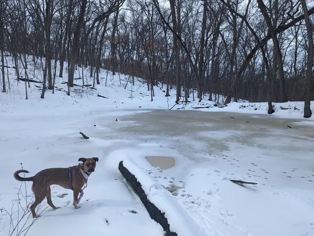 Whitebreast Hiking (Stephens State Forest)