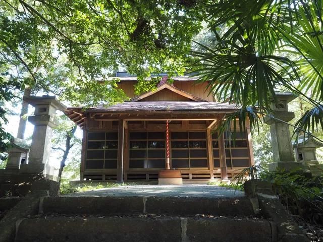 photo-3
