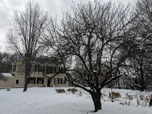 photo-1