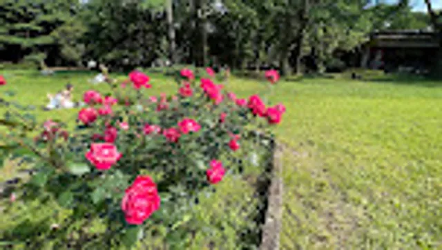 Rose Garden