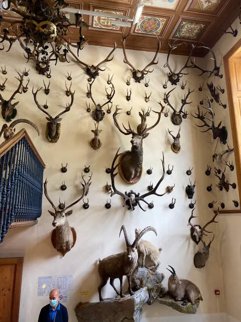 Alpenfaunamuseum Beck Peccoz