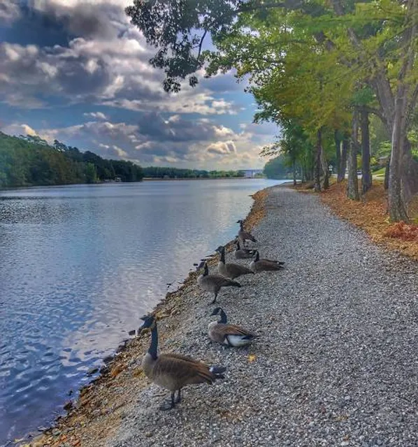 Little Rock Lake