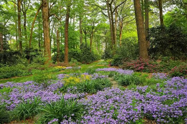 Norfolk Botanical Garden