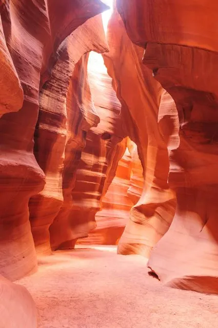 Lake Powell Navajo Tribal Park