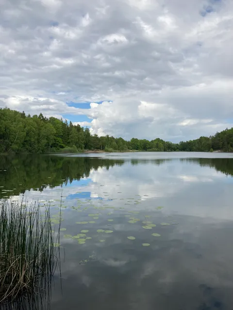 Långsjöns naturreservat