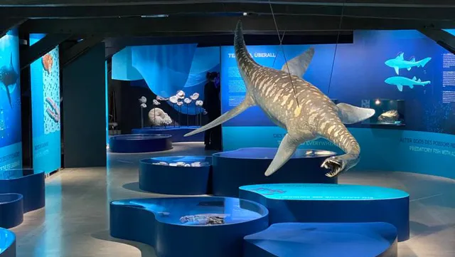 Luxembourg National Museum of Natural History